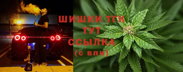 прущие крисы Белокуриха