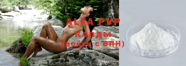 прущие крисы Белокуриха