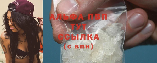 прущие крисы Белокуриха