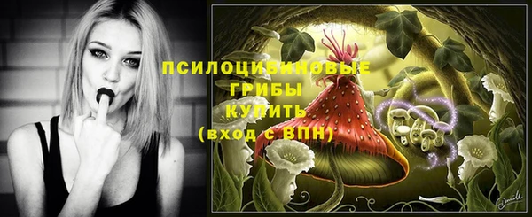 прущая мука Белоозёрский