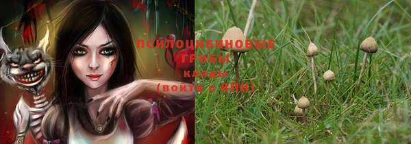 прущие крисы Белокуриха