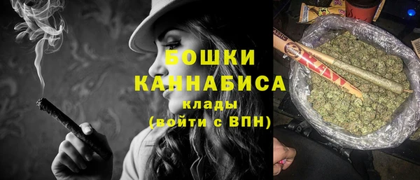 прущие крисы Белокуриха