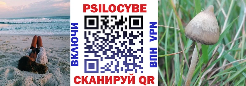 Псилоцибиновые грибы Cubensis  Облучье 